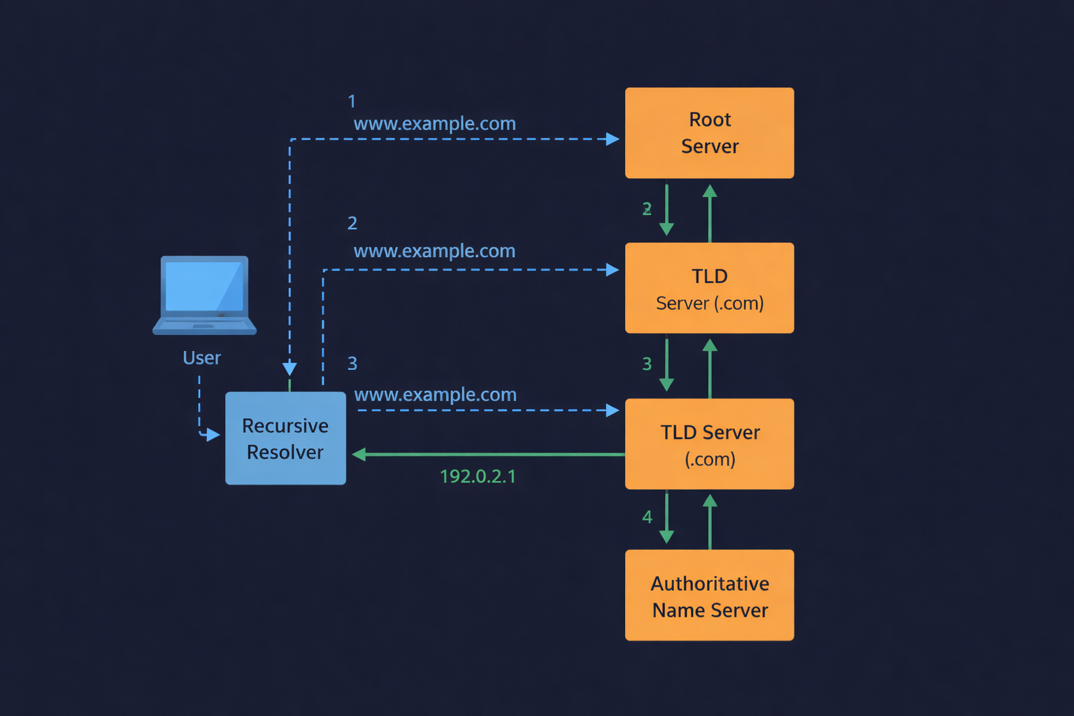 Network Visualization