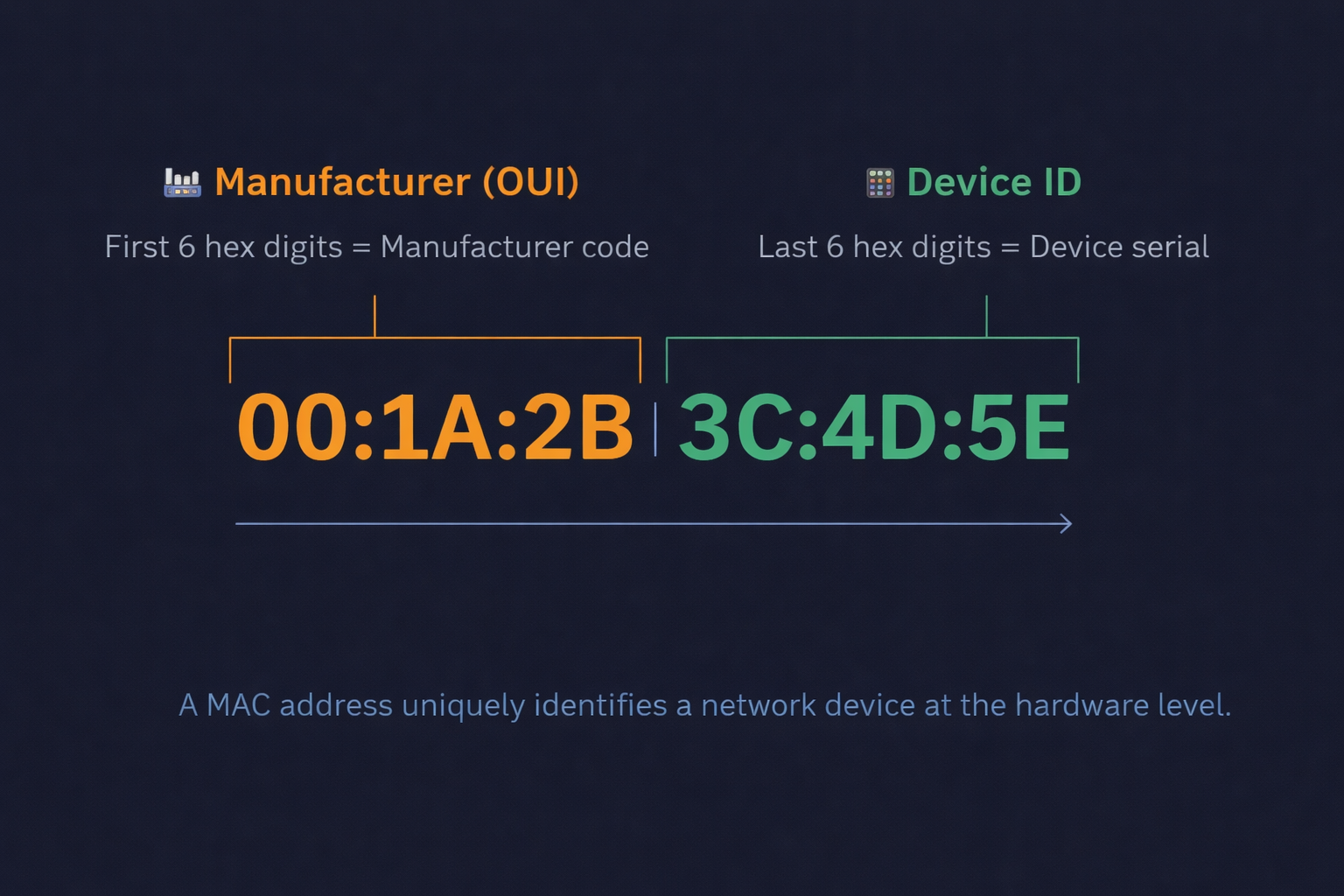 Network Visualization