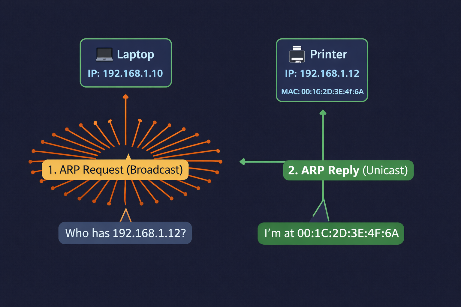 Network Visualization