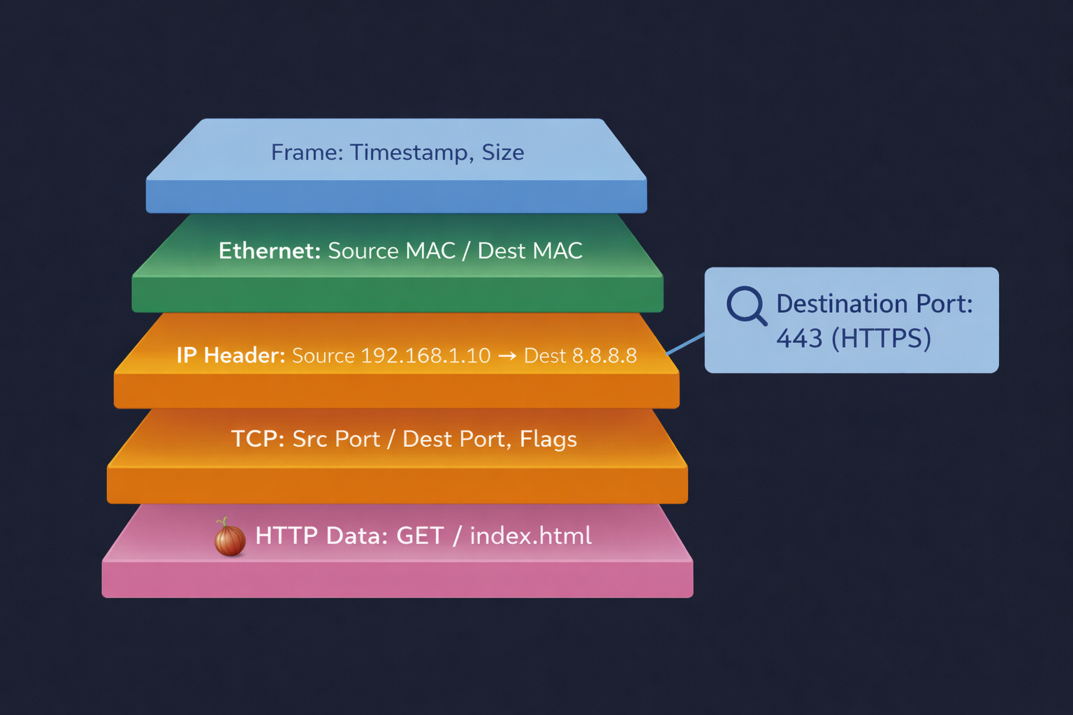 Network Visualization