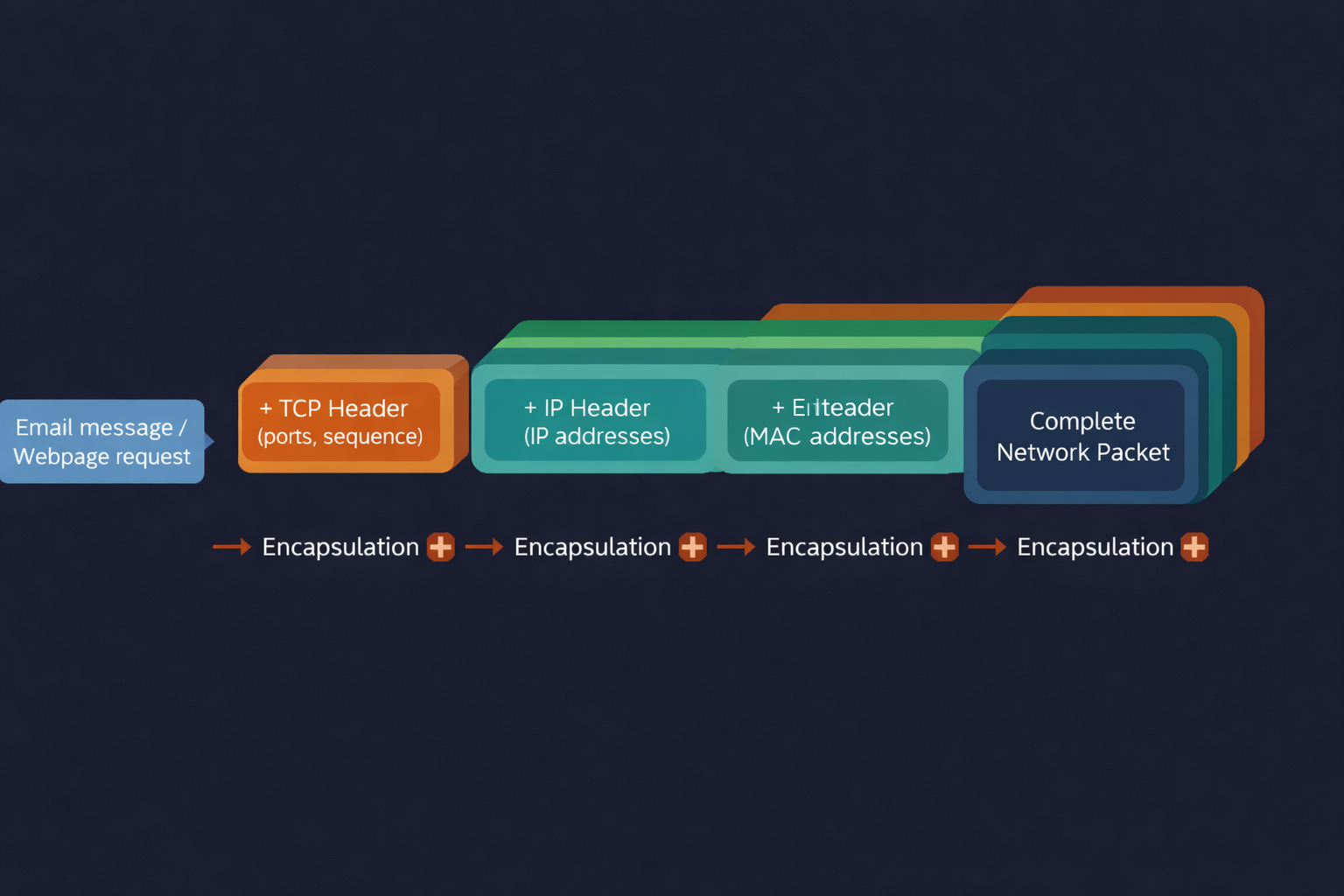 Network Visualization