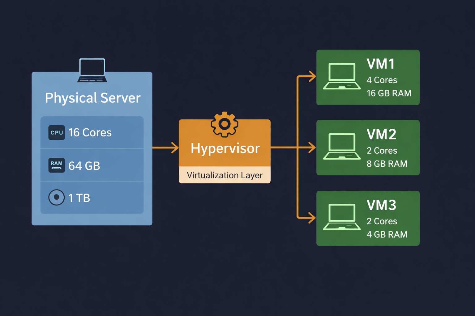 Network Visualization