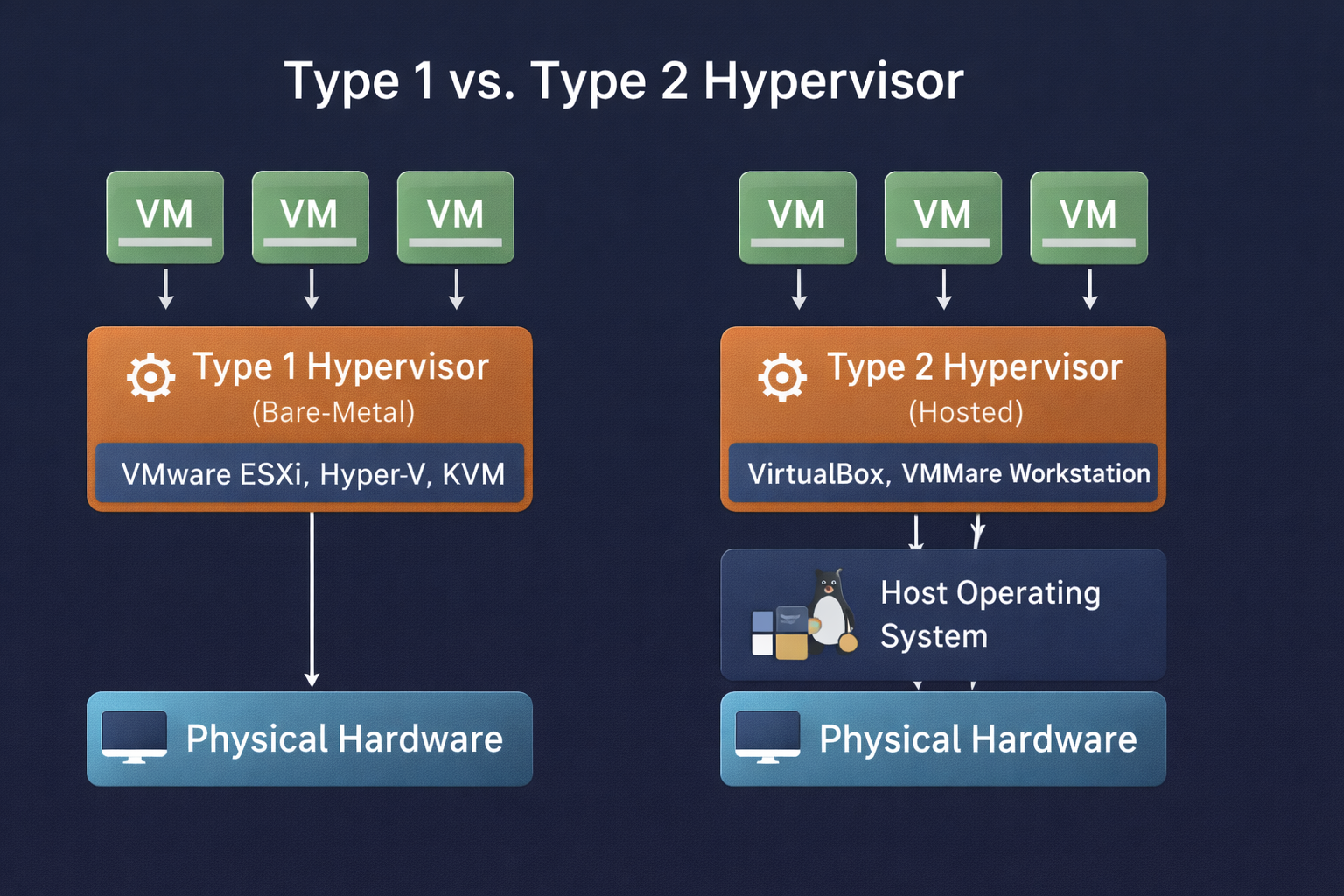 Network Visualization