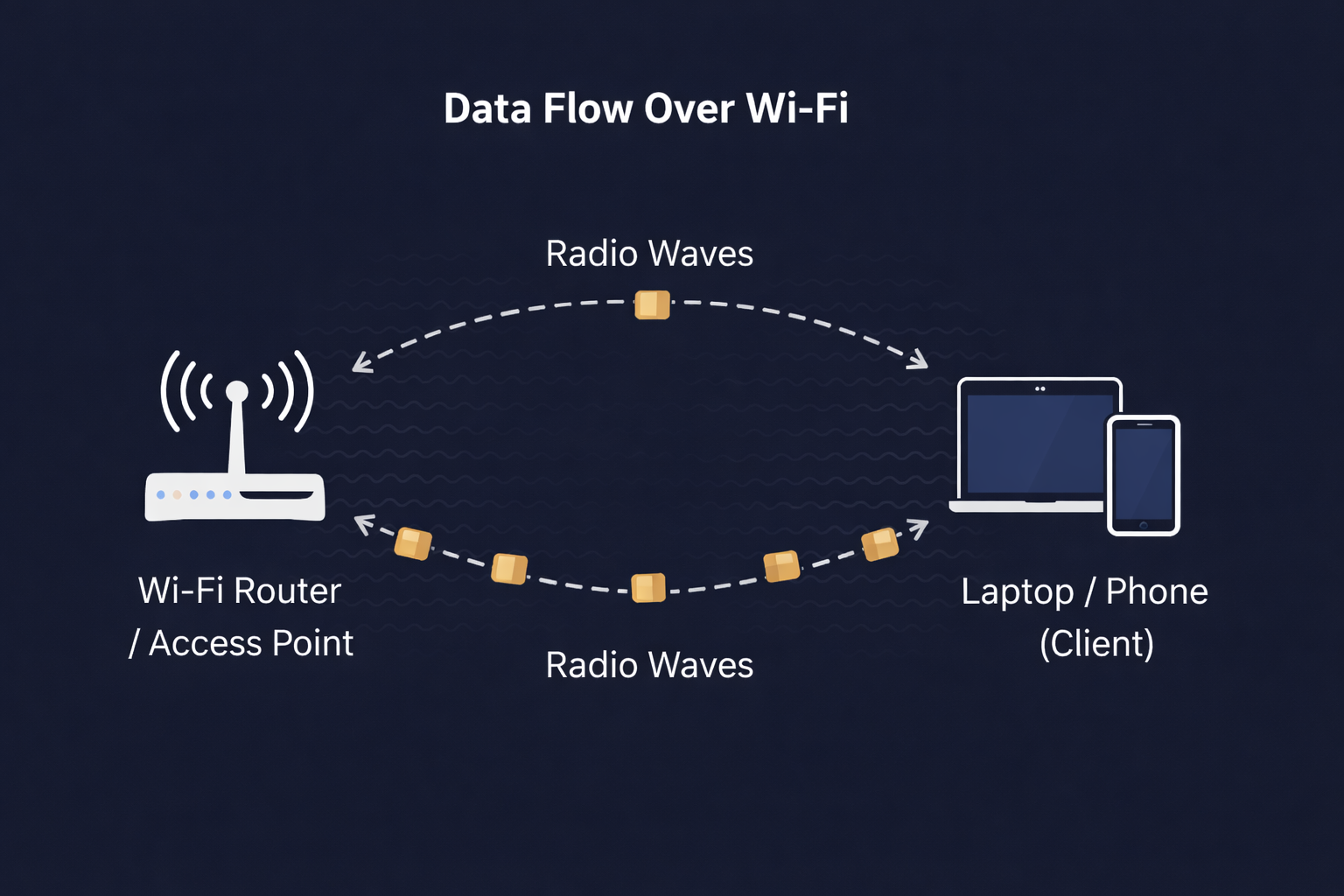 Network Visualization